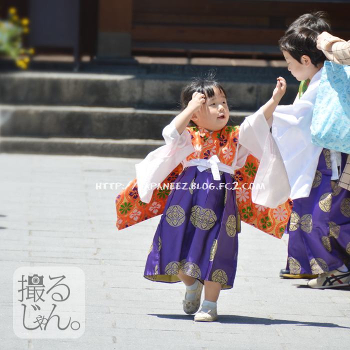 November　11 ， 2016