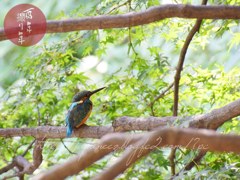 Octobre　2 ， 2017