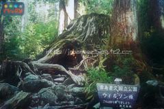 Octobre　20 ， 2016