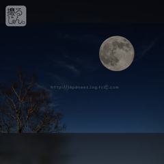 November　15 ， 2016