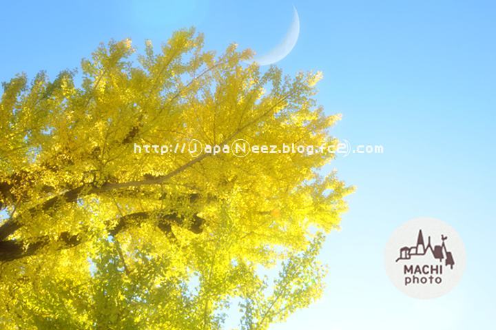 Octobre　29 ， 2016