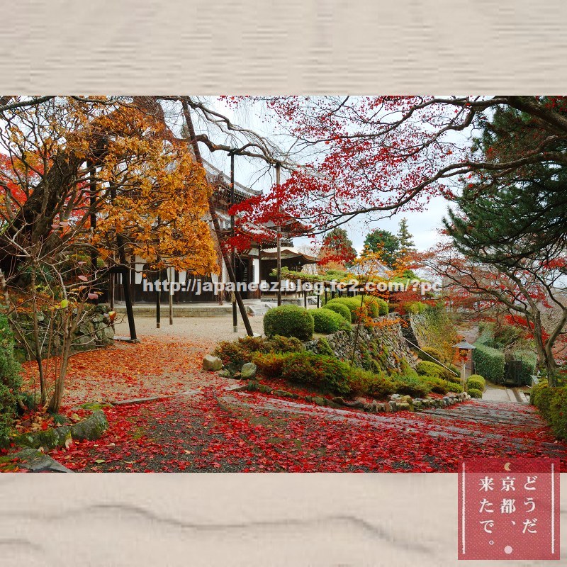 November　19 ， 2017