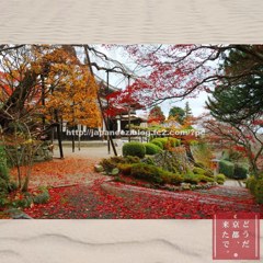 November　19 ， 2017