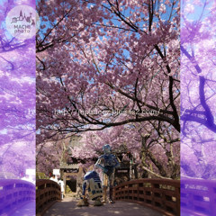 November　8 ， 2016