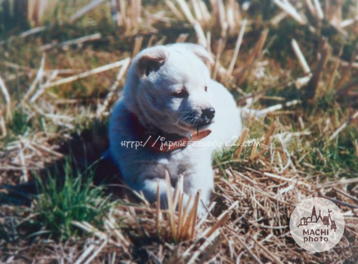 November　5 ， 2016