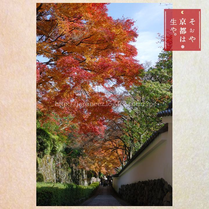 November　18 ， 2016