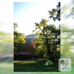 4　Decembre ， 2016