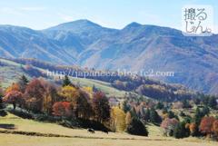 Octobre　15 ， 2016