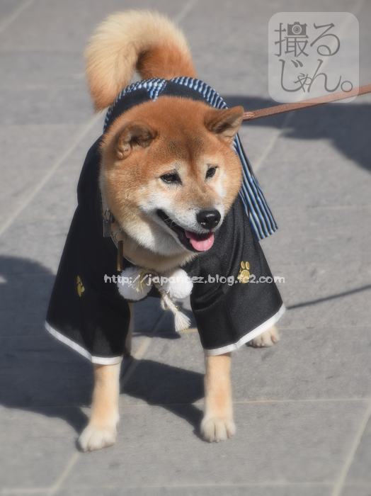 November　12 ， 2016