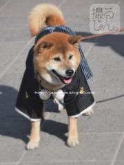 November　12 ， 2016