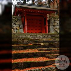 November　10 ， 2016