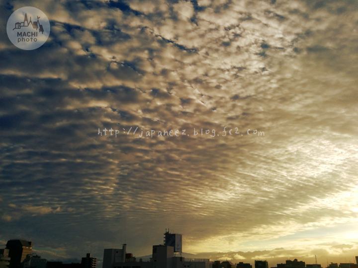 November　12 ， 2016