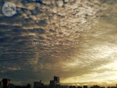 November　12 ， 2016