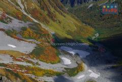 November　14 ， 2016