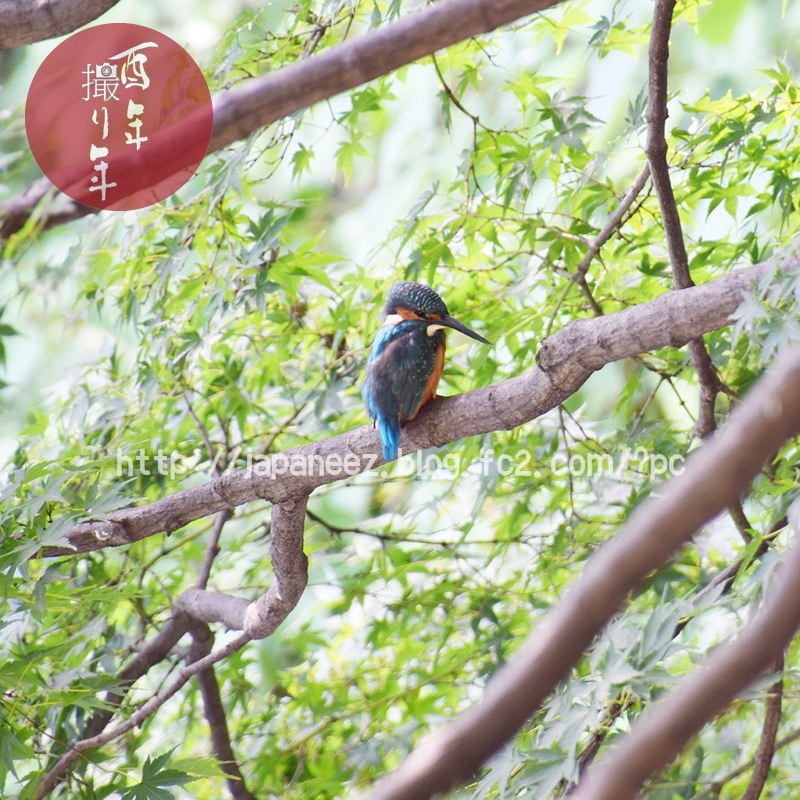 Octobre　17 ， 2017