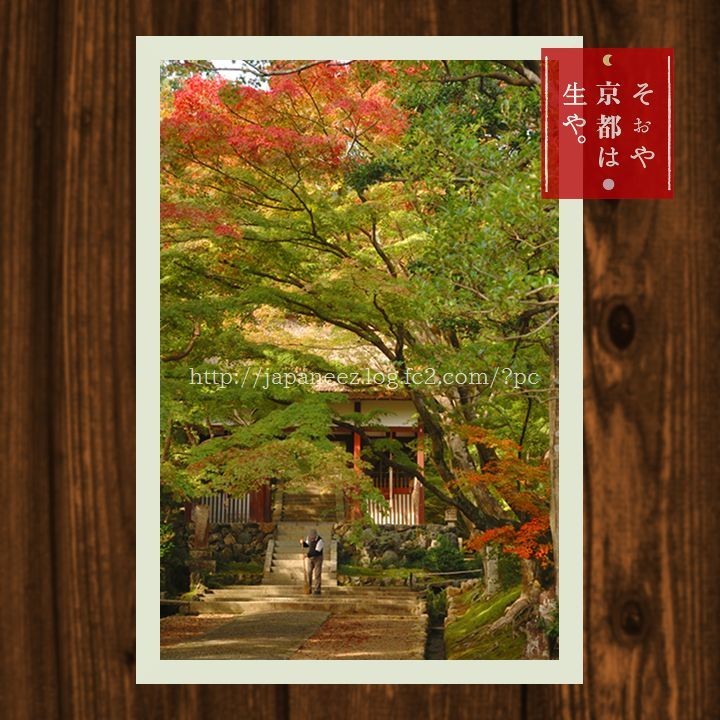 6　Decembre ， 2016