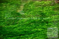 Augustus　10 ， 2016