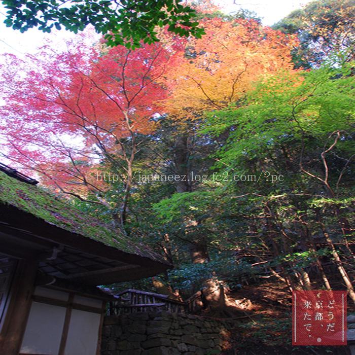 November　19 ， 2016