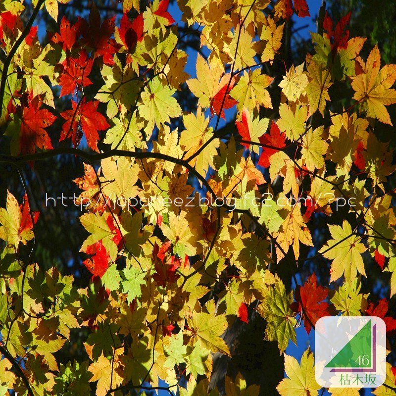 Octobre　11 ， 2017