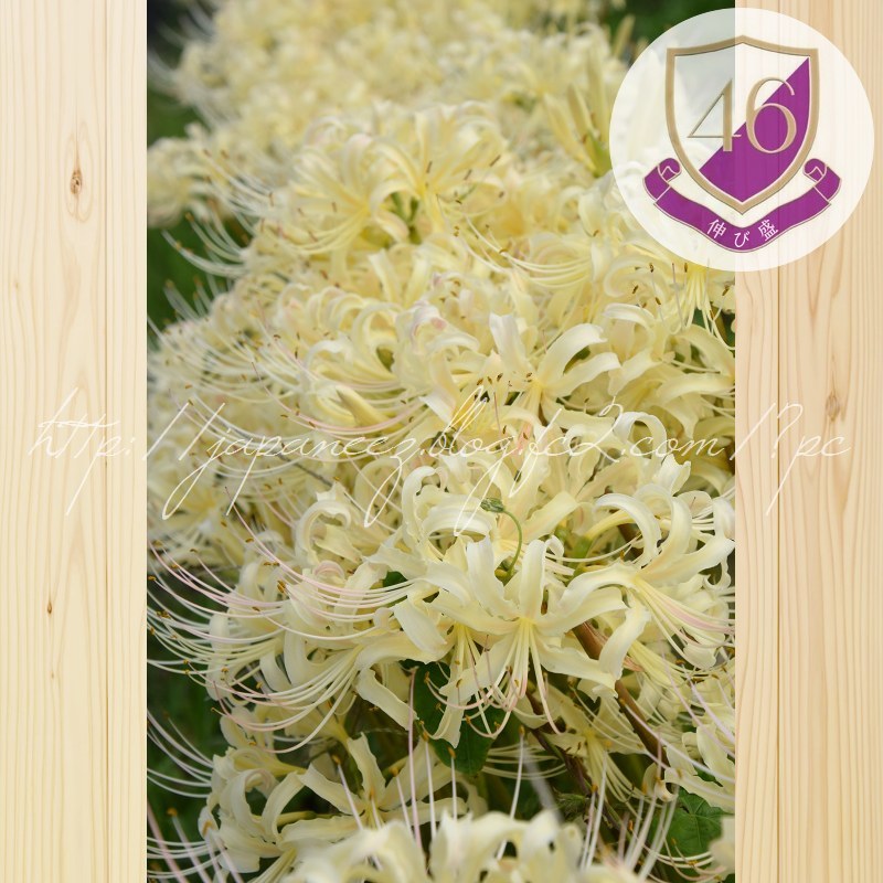 Septembre　23 ， 2017