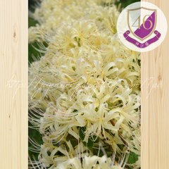 Septembre　23 ， 2017