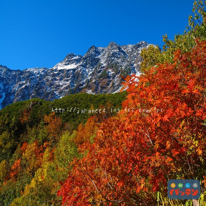 3　Decembre ， 2016