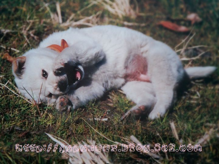 Octobre　6 ， 2016