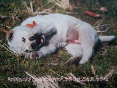 Octobre　6 ， 2016