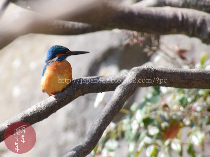 February　26 ， 2017