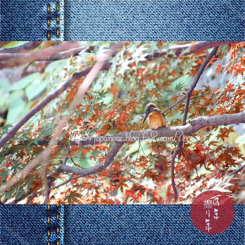 Octobre　24 ， 2017