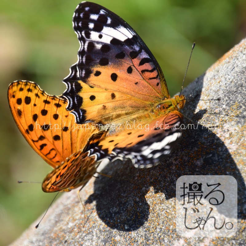 Octobre　26 ， 2017