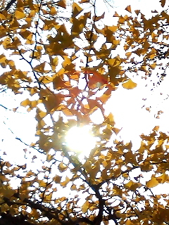 Octobre　17 ， 2016