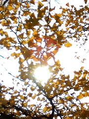 Octobre　17 ， 2016