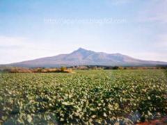 November　5 ， 2016