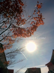 Octobre　26 ， 2016