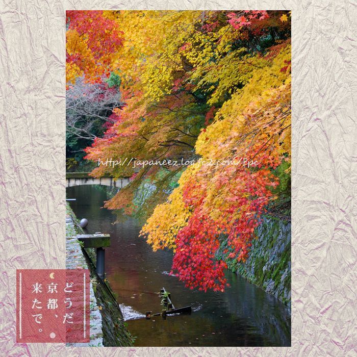 4　Decembre ， 2016