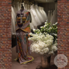 29　January ， 2017