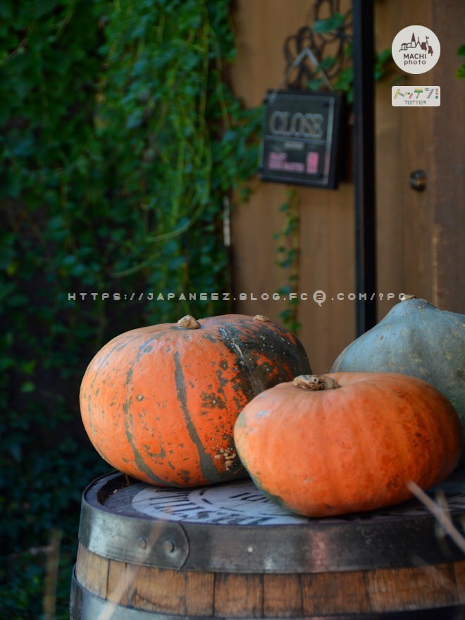 Today’s　available　stock　photo ，＃3556