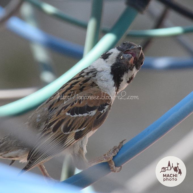 November　3 ， 2016