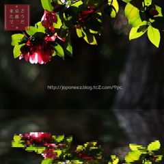 11　Decembre ， 2016