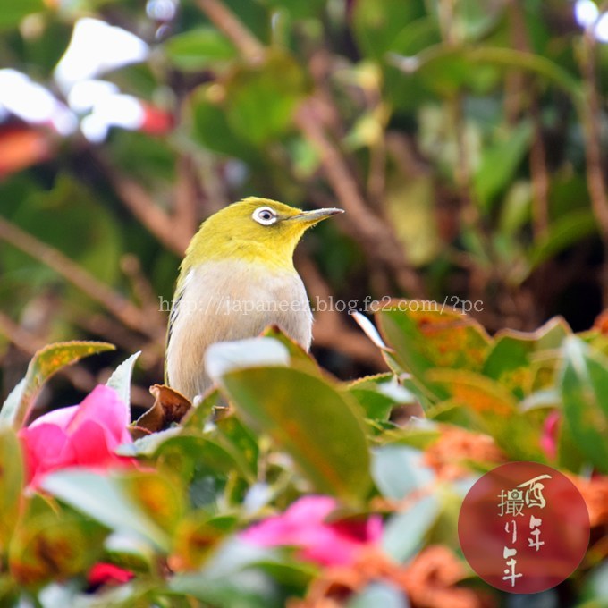 February　19 ， 2017