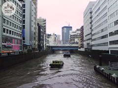 11　January ， 2017