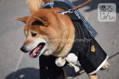 2　January ， 2017