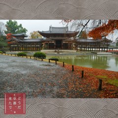 November　23 ， 2017