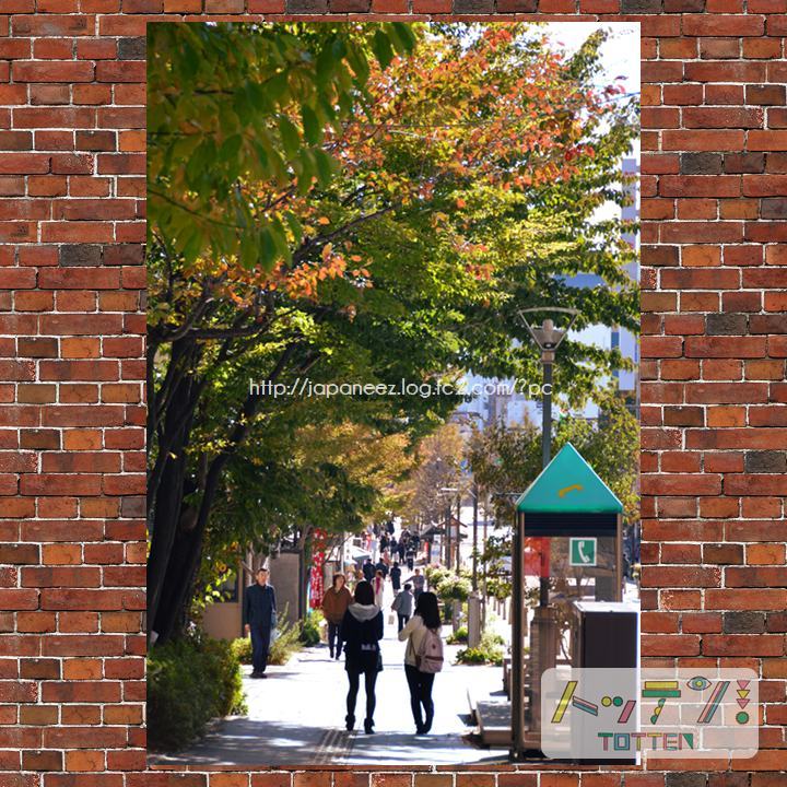 November　29 ， 2016