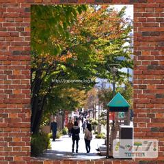 November　29 ， 2016