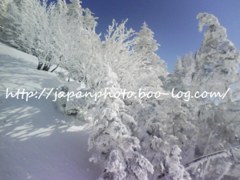 31　January ， 2017