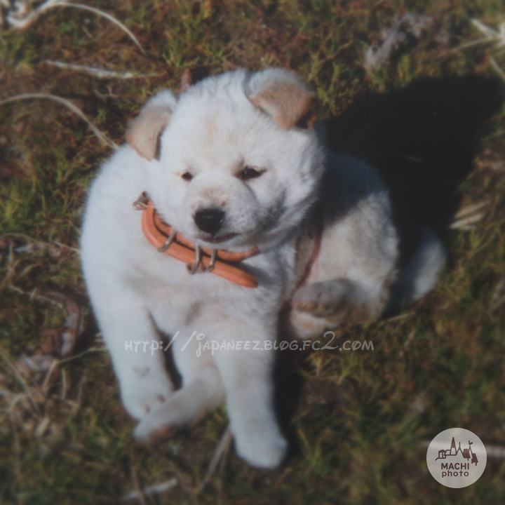 Octobre　14 ， 2016