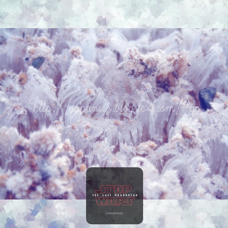 Decembre　7 ， 2017