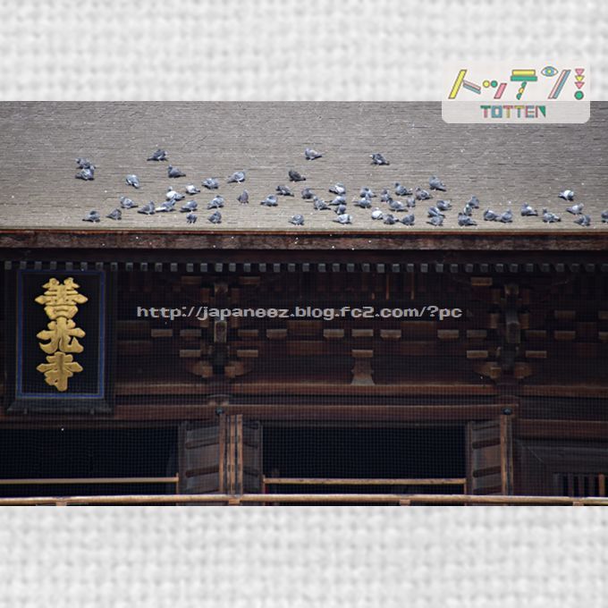 16　Decembre ， 2016